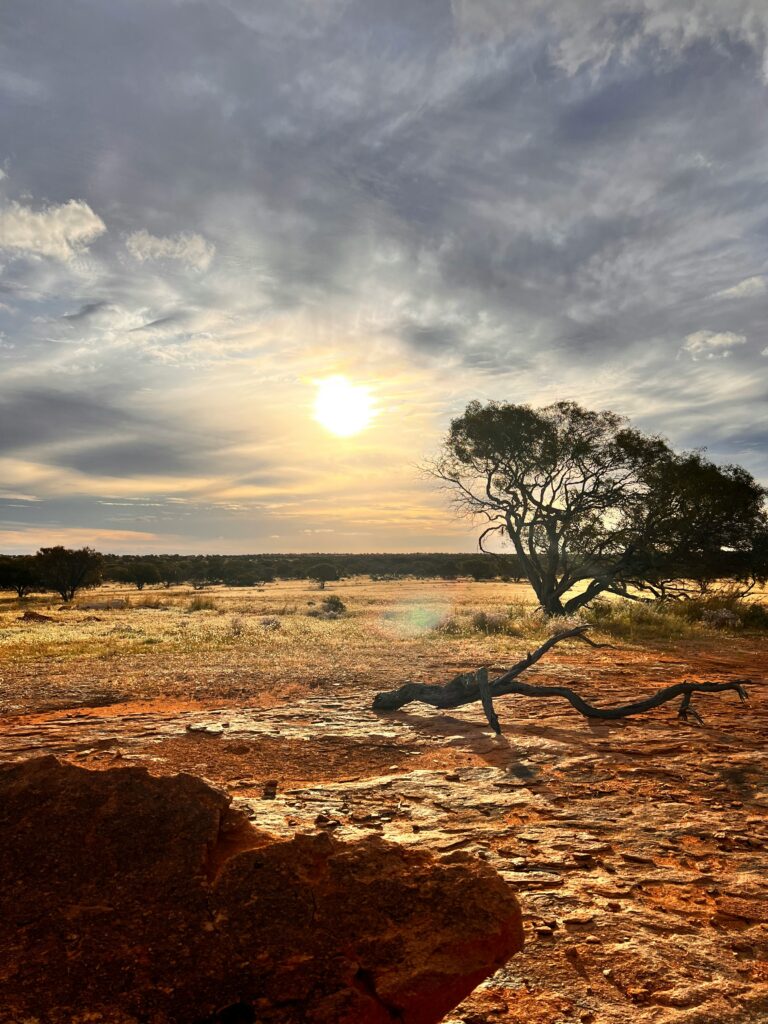 Pilbara Proportions: When Mining Scale Redefines Metal Recycling